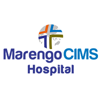 Home 10 Marengo